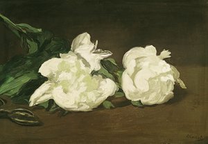 Branche de pivoines blanches et sécateurs, 1864